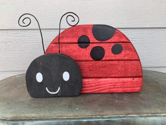 Chunky Ladybug